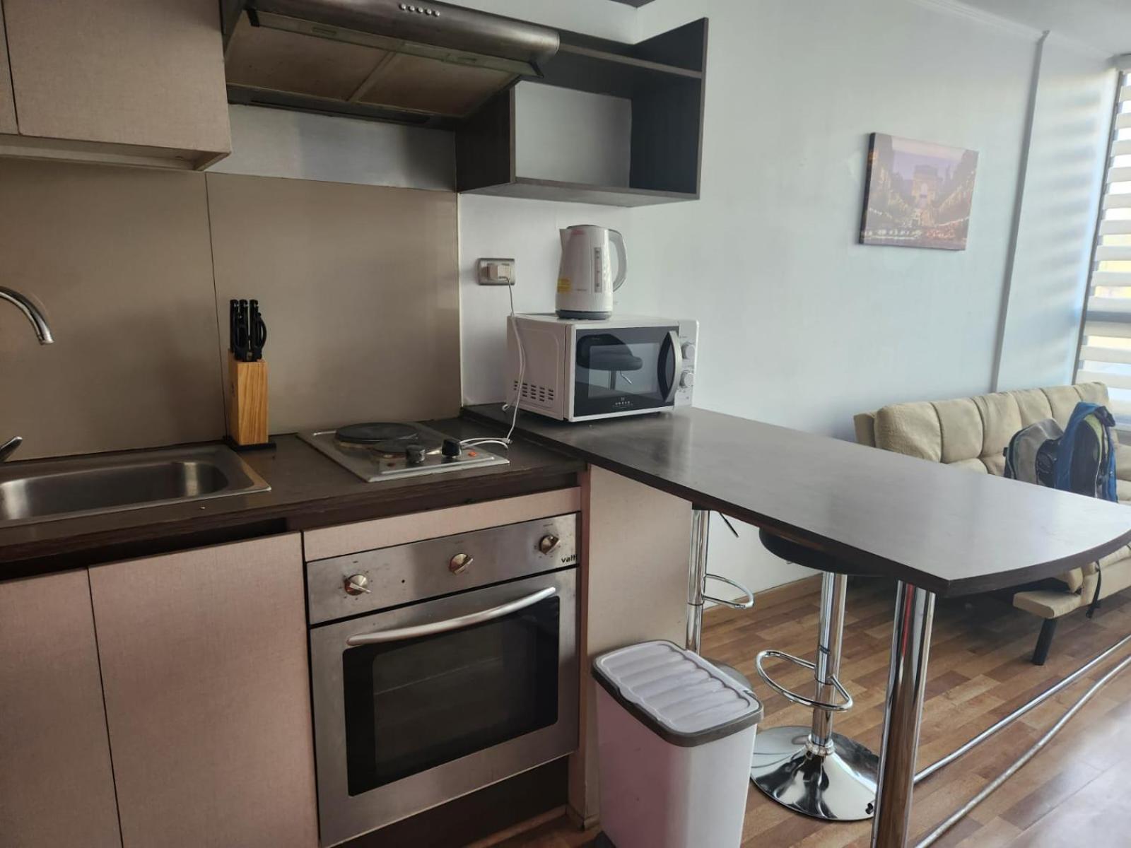 Апартаменти Departamento Paseo Bulnes Metro La Moneda Сантьяго Екстер'єр фото
